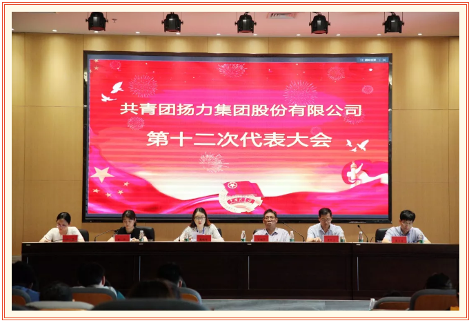 共青團揚力集團股份有限公司第十二次代表大會圓滿召開！