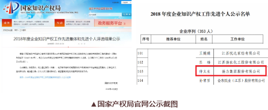 喜訊丨揚(yáng)力集團(tuán)總工程師仲太生榮獲“2018年度企業(yè)知識(shí)產(chǎn)權(quán)工作先進(jìn)個(gè)人”榮譽(yù)稱號(hào)！